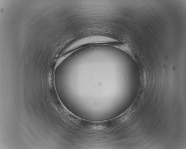 X0000053070360200508011946