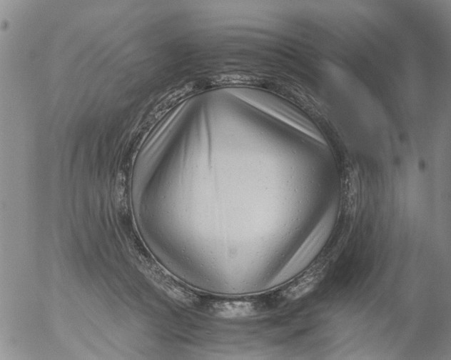 X0000053070361200508011946