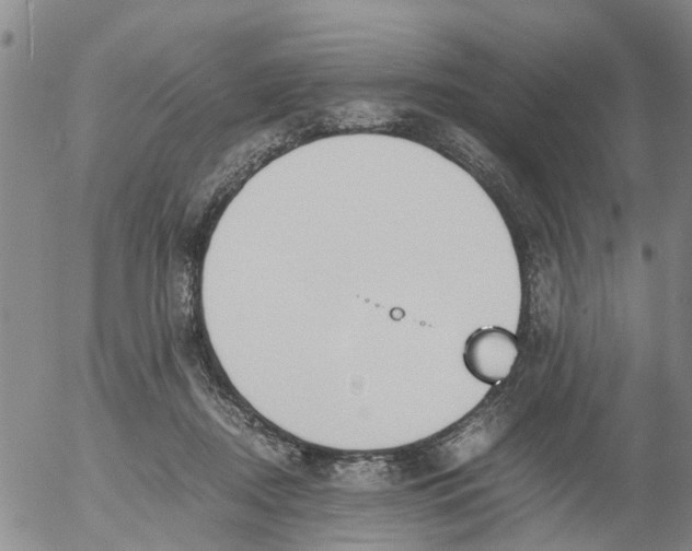 X0000053070362200508011946