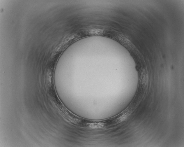 X0000053070363200508011946