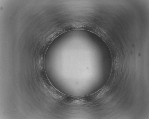 X0000053070364200508011946