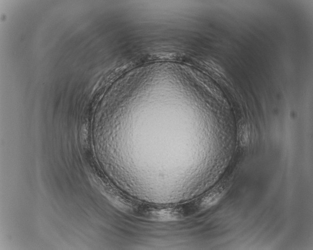 X0000053070365200508011946