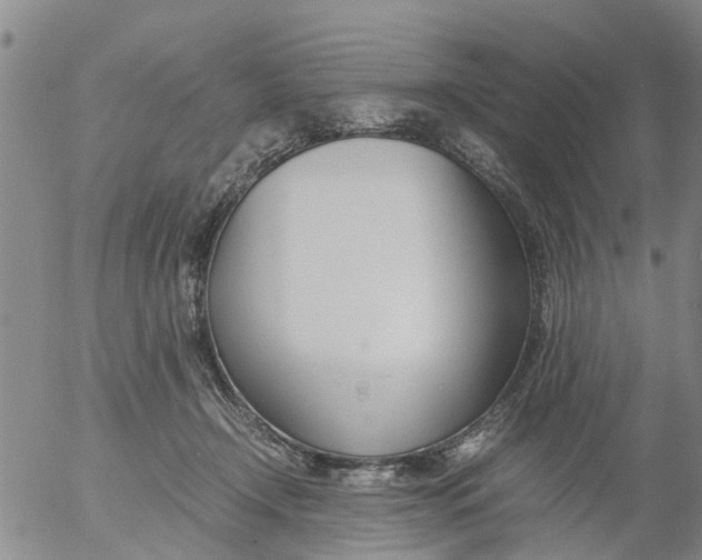 X0000053070366200508011946