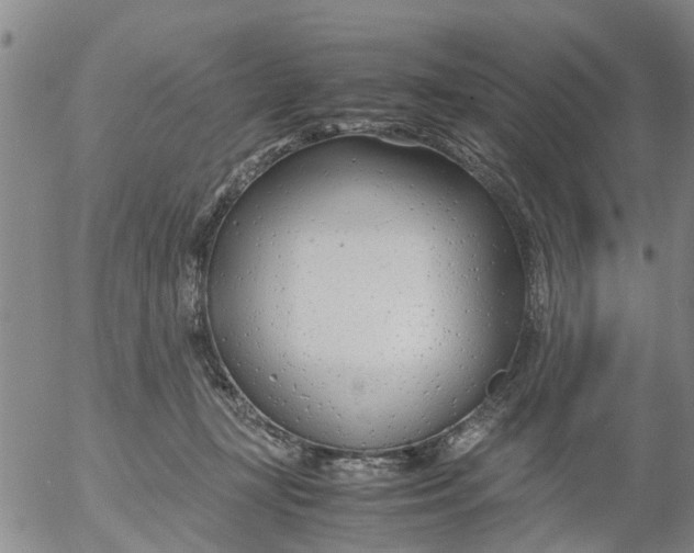 X0000053070367200508011946