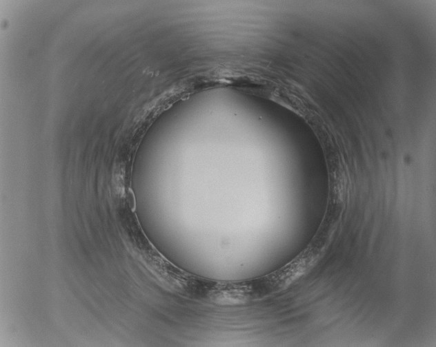 X0000053070368200508011946