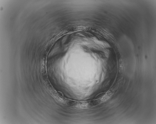 X0000053070369200508011946