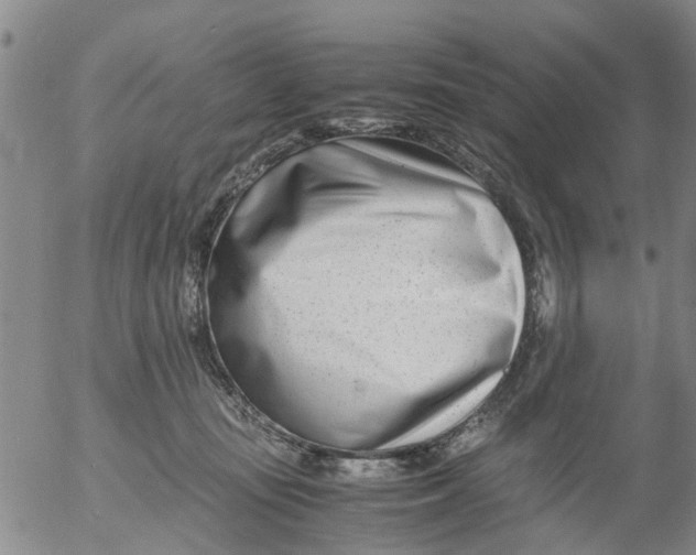 X0000053070371200508011946