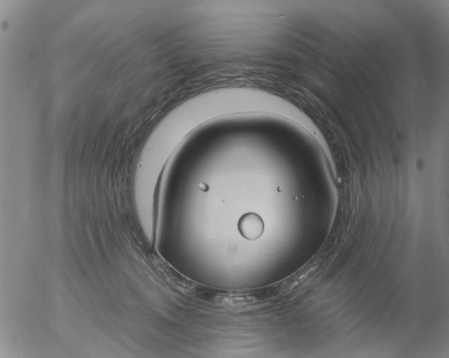 X0000053070372200508011946