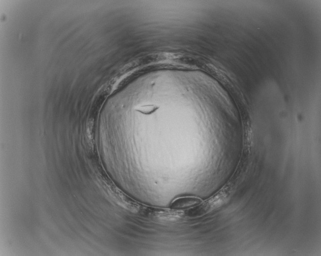 X0000053070373200508011946