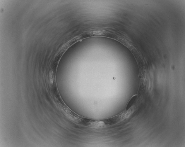 X0000053070374200508011946