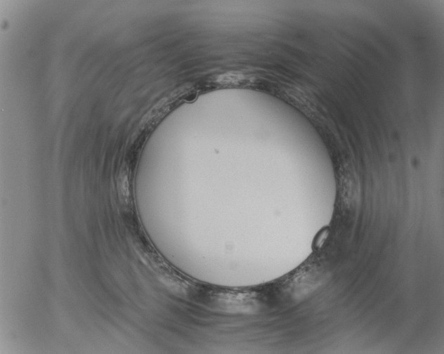 X0000053070375200508011946