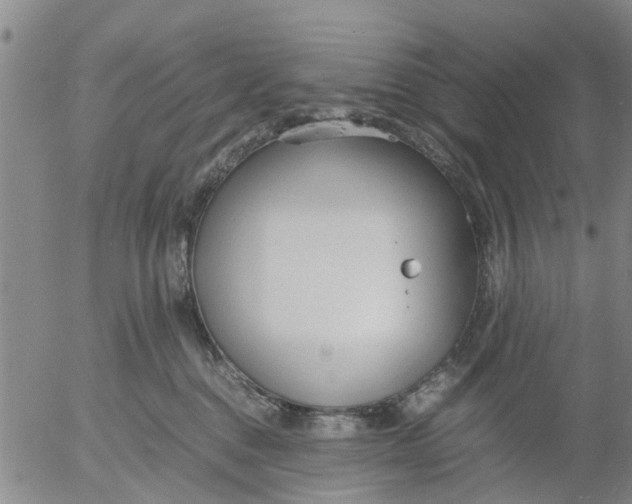 X0000053070376200508011946