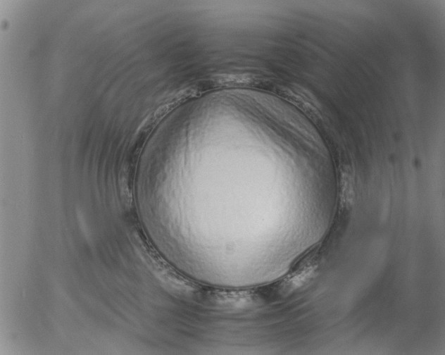 X0000053070377200508011946