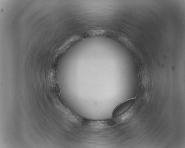 X0000053070378200508011946