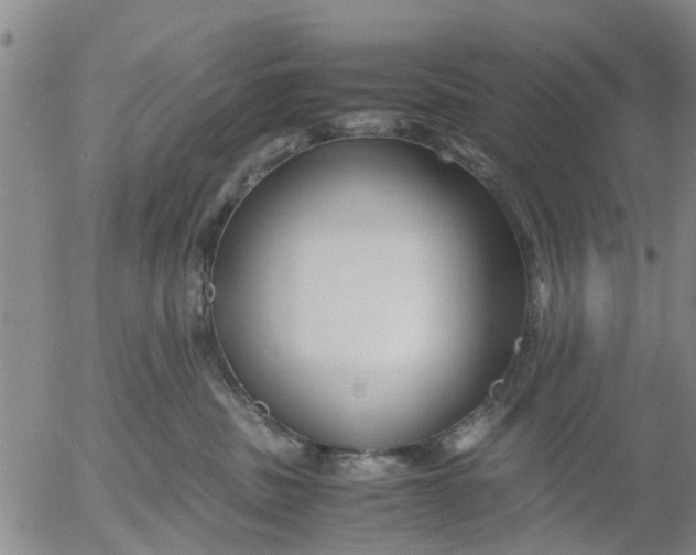 X0000053070379200508011946