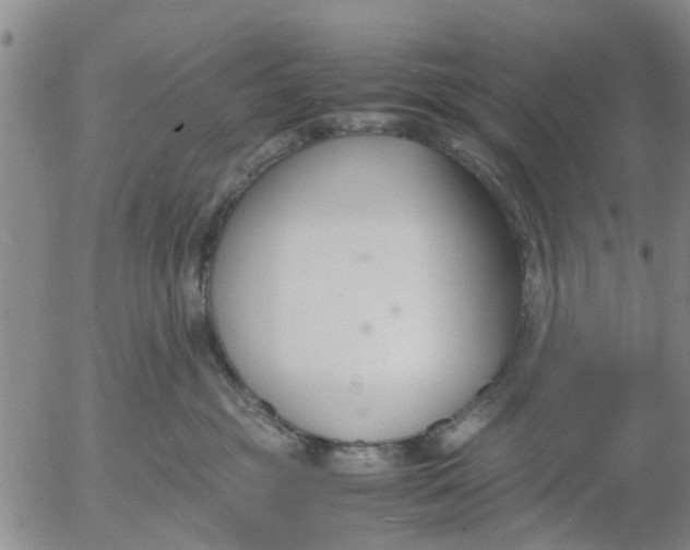 X0000053070381200508011946