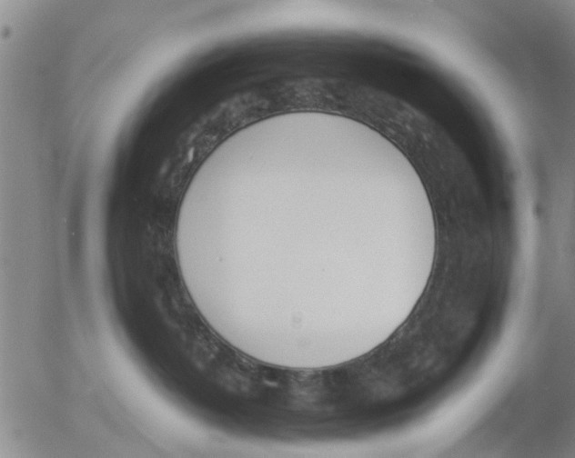 X0000053070382200508011946