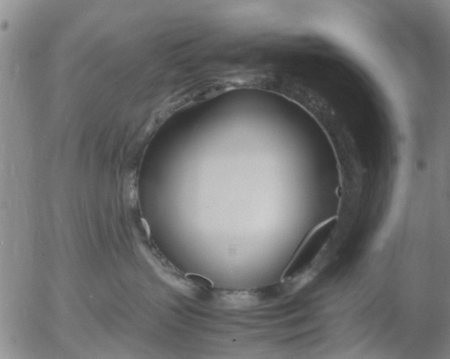 X0000053070383200508011946