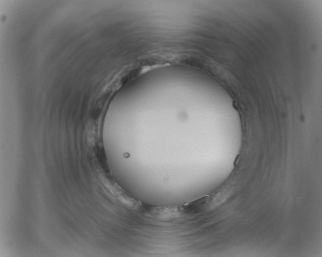 X0000053070384200508011946