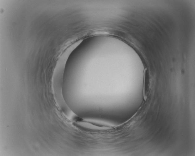 X0000053070385200508011946