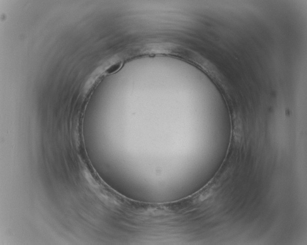 X0000053070386200508011945