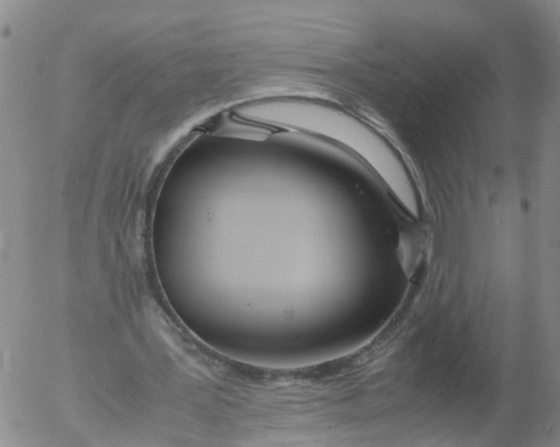 X0000053070387200508011945