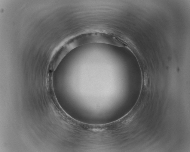 X0000053070388200508011945