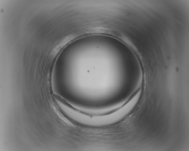 X0000053070389200508011945