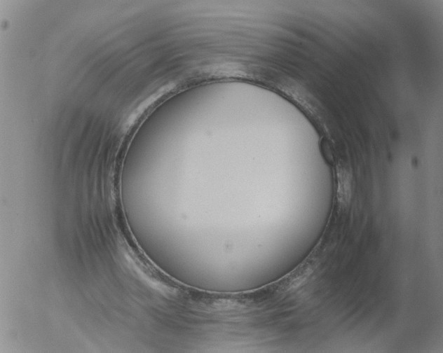 X0000053070390200508011945