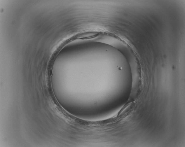 X0000053070391200508011945