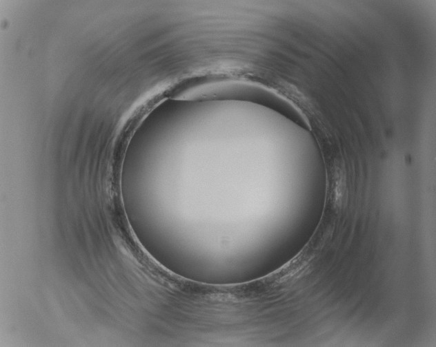 X0000053070392200508011945