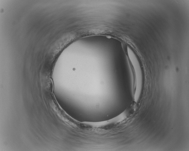 X0000053070393200508011945