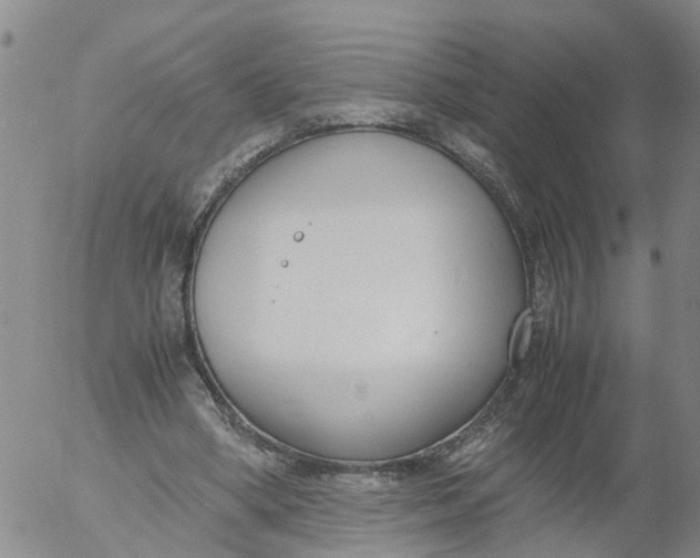 X0000053070394200508011945