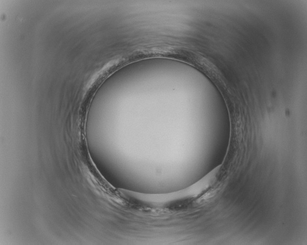 X0000053070395200508011945