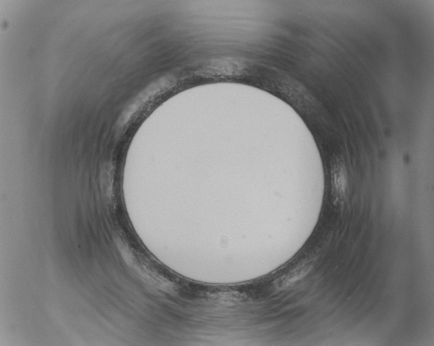 X0000053070396200508011945