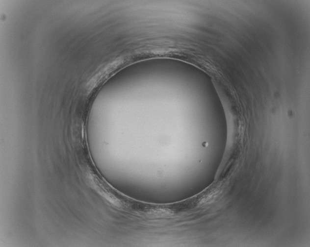 X0000053070397200508011945