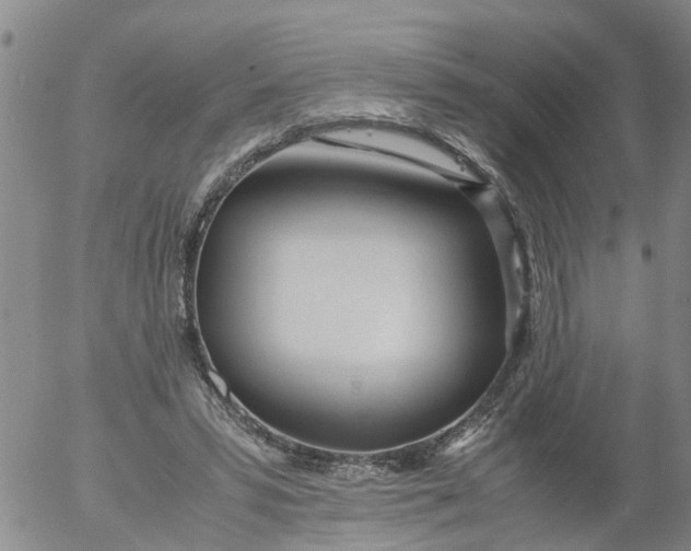 X0000053070399200508011945