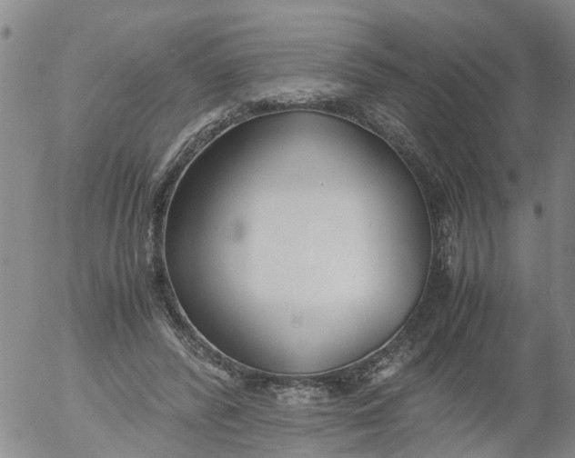 X0000053070400200508011945