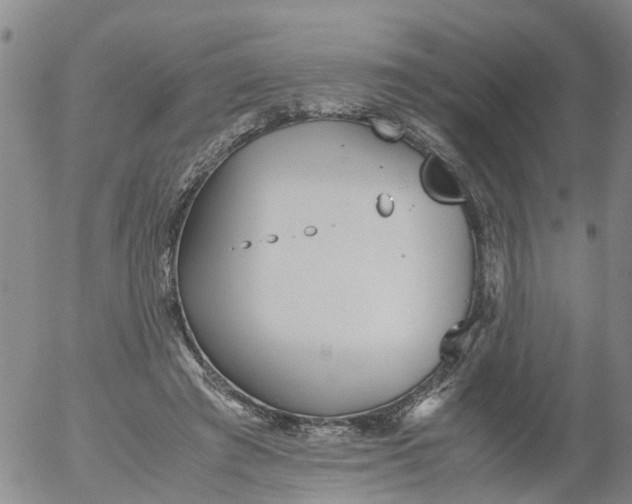 X0000053070401200508011945