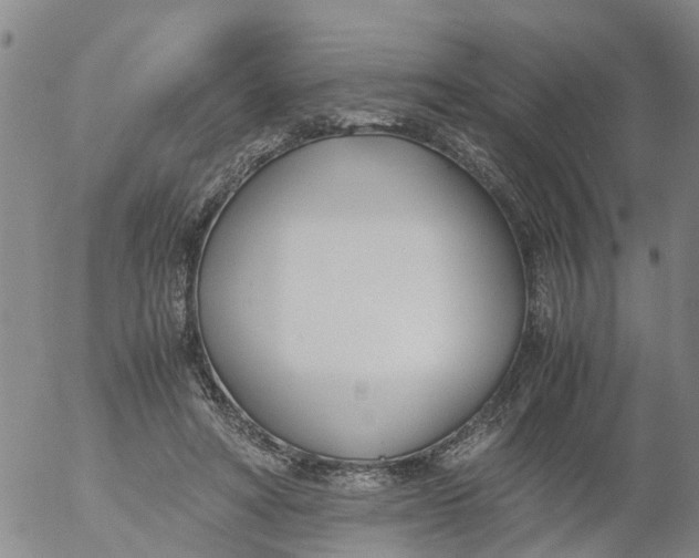 X0000053070402200508011945