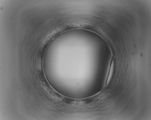 X0000053070403200508011945