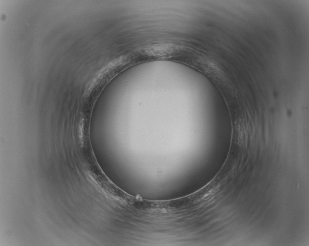 X0000053070404200508011945