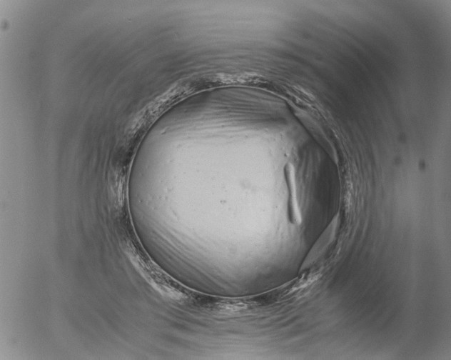 X0000053070405200508011945