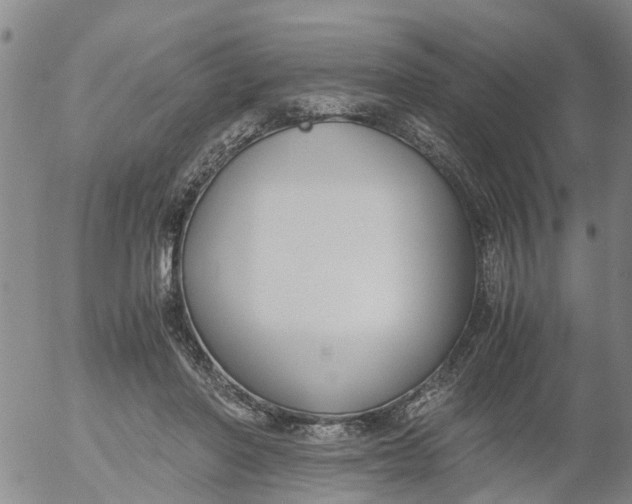 X0000053070406200508011945