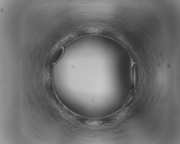 X0000053070407200508011945