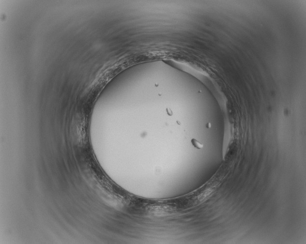 X0000053070408200508011945