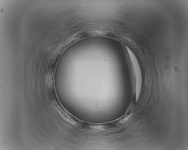 X0000053070409200508011945