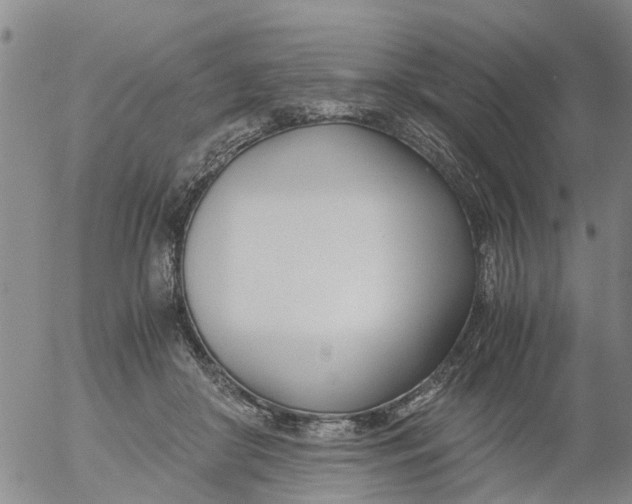 X0000053070410200508011945