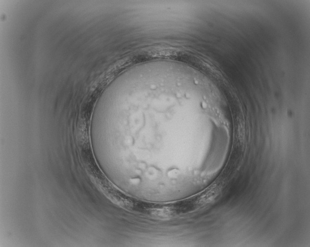 X0000053070411200508011945