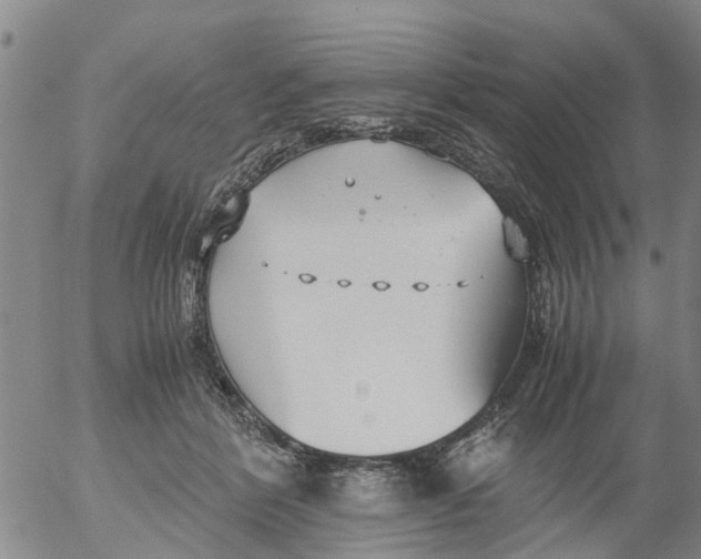 X0000053070412200508011945